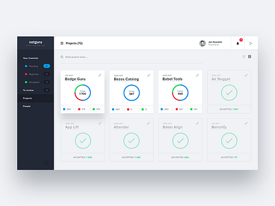Code Review App - Projects chart code review dashboard flat netguru project stats ui ux web