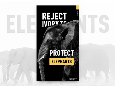 Day 24 - Reject ivory to protect elephants 100 card clean cool dailyui flat