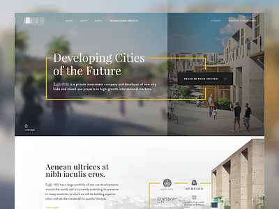 Developer Landing WIP cities cover developer firm homepage investment landing