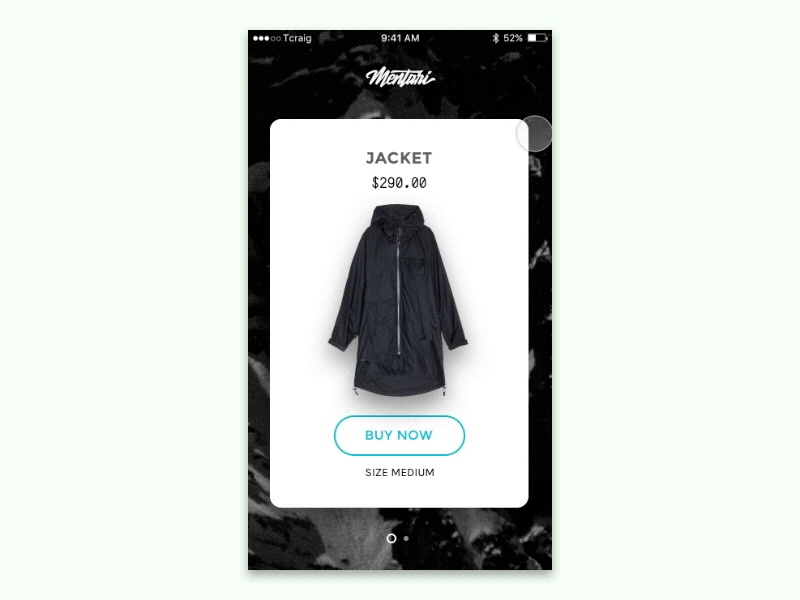 UI Animation Experiment animation card checkout experiment fashion principle ui ux