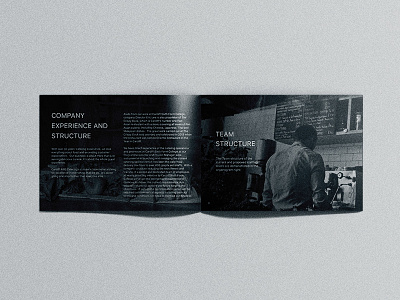 Brochure For Crispyduck brochure crispyduck mockup