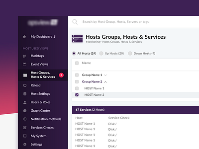 Hosts List for Monitoring Company dashboard design desktop graphic graphic design host ui ux web