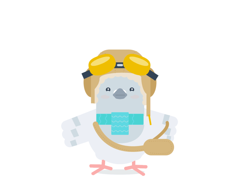 Cute Phil aviation aviator carrier pigeon pigeon