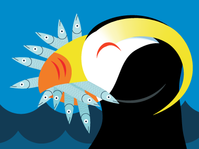 Tufted Puffin—Seattle Aquarium 2016 advertising animal bird cartoon flat illustration kids museum ngo non profit vector zoo