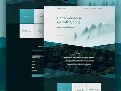 VC Landing Page capital diagonal landing layout page site tree vc venture web website