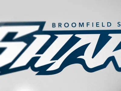 BSTC Sharks branding custom fin illustrator logo shark sharks swim type