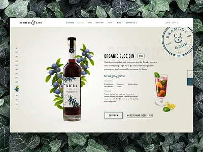 B&G Sloe Gin badge bottle dashboard fruit homepage interactive landing nature packaging stamp ui website