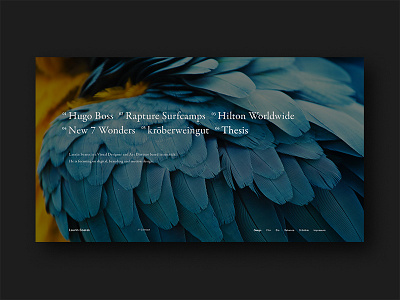 Portfolio 2016 design portfolio thesis uiux