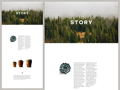 Story Template design dribbble landing minimal psd simple template ui web web design webpage website