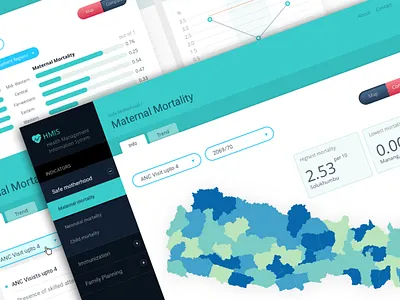 HMIS designs graphs health map nepal ui