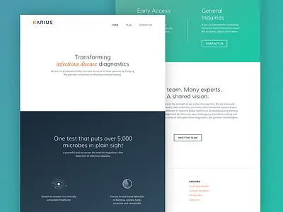 Karius Website clean design flat web website