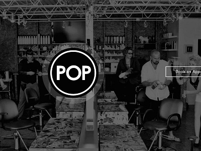 Hair Salon agency hair salon interface layout ui website