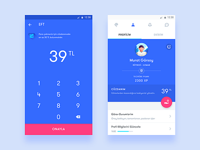 Mystery shopping app / Send Money & Profile android design material money pay profile send