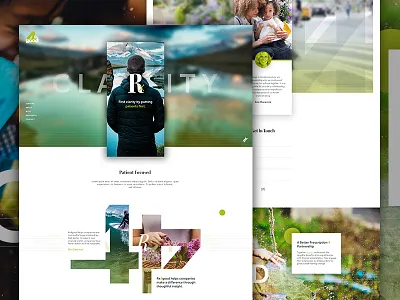 4 Good blur consulting elegant seagulls health care landing medical non profit pharma