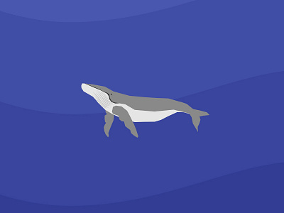 Whale animal app blue cosmic paul flap kids ocean sea whale