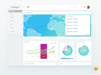 Flight Report Dashboard admin app dashboard flight free sketch freebie freeweeklyui plane sketch ui web app weekly