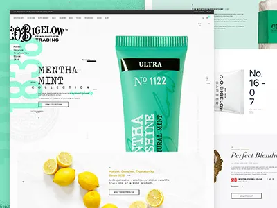 CO Bigelow beauty body design elements grid minimal mint typography ui visual design web design white space