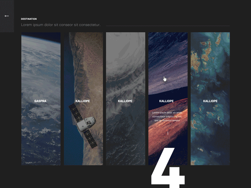 Satellite Website Prototype animation case study interaction portfolio prototype webdesign
