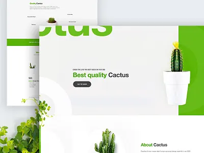 Cactus Landing Page Design Concept .. app landing page cactus cactus landing page dribbble best shot landing page