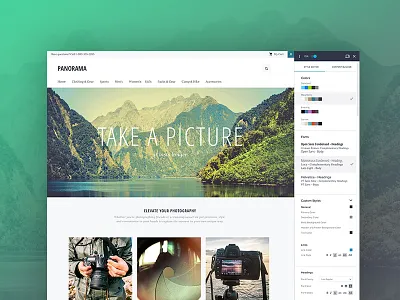 Ecommerce Admin Storefront Style Editor ecommerce edit panel panel product product design style editor template template editor ui user experience ux