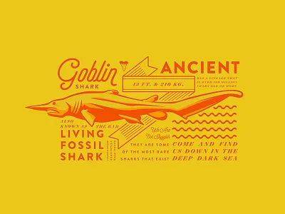 Goblin Shark discovery goblin shark week