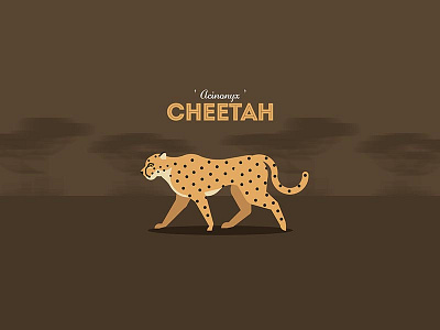 The Cheetah africa animal animal illustration carnivores cheetah design joyflap