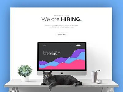 Portfolio Concept clean dashboard minimal mockup portfolio slick theme ui ux web website
