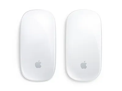 Which is a picture and which is Vector? app apple design drawing fun icon mouse sketch vector