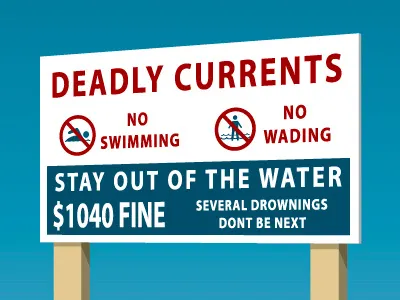 Beach Board beach birds board deadly fine swimming water