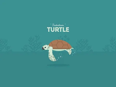 The Turtle animal illustration joyflap ocean sea sea turtle turtle