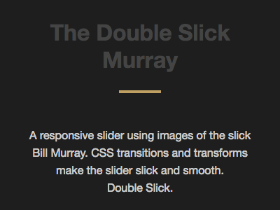The Double Slick Murray carousel slider ui web design