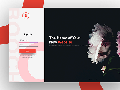Daily UI Challenge 001 001 branding dailyui design homepage landingpage typography ui ux webdesign website