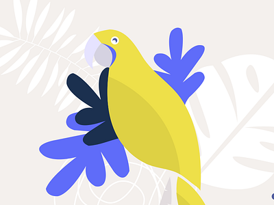 Tropiques green nature parrot perro perroquet tropical tropique