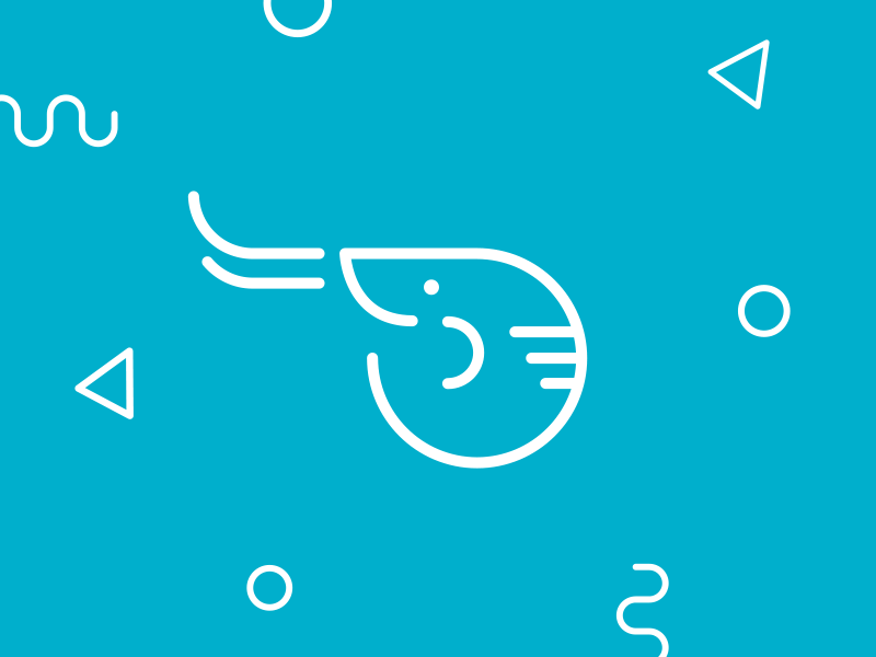 Sea Critters after effects animal animation cute gif icon iconography illustration jellyfish sea shrimp whale