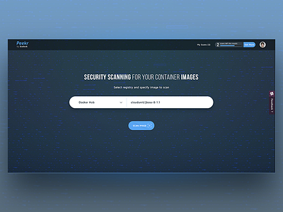 Peekr Search Screen barscanlanding data pagewebsecurity search ui ux