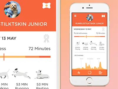 Pitpat App - Detail Screen activity app app design data data breakdown data detail detail dog ios ios app orange pedometer