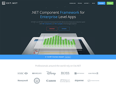 Ext.NET Website download faq homepage landing page pricing website