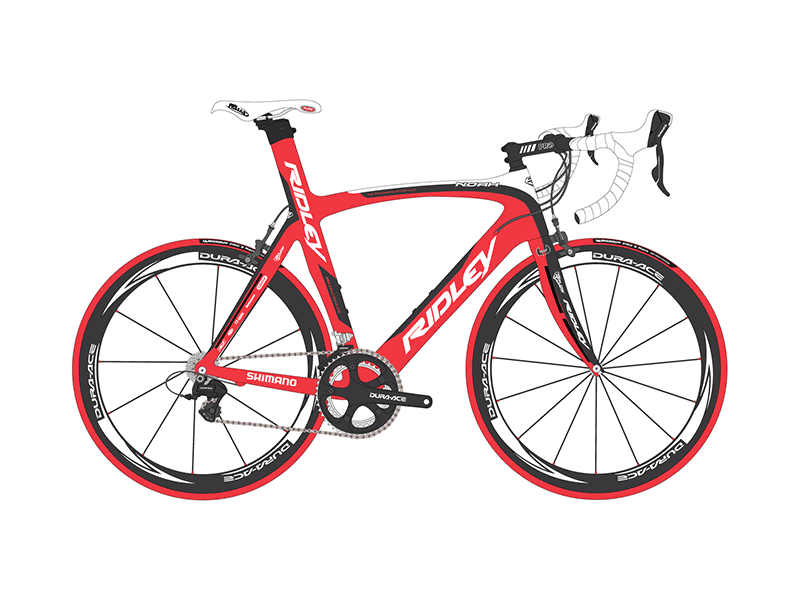Ridley Bike Designs graphic design illustrations kryki sports vectors
