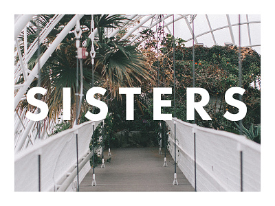 Sisters 2016 design foliage identity logo ministry plants sisters women womens ministry