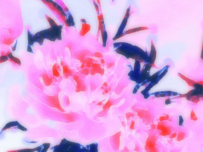 Peonies Pattern | Textile Design activewear design fashion floral peonies peony psychotropical trend spd ss 18 surface design surface pattern textiles