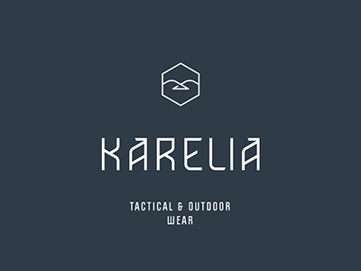 Karelia bird brand branding eagle golden identity logo russia style wear