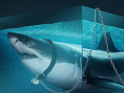 Shark photoshop shark
