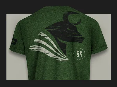 CF21 - t-shirt CrossFit art bull crossfit design hero serigraphy shirt t shirt tshirt wod