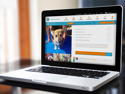 Concepts for a K-9 social networking platform social network uiux
