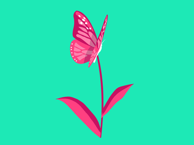 Spring butterfly camp fire flower google hotdogs loop marshmallow play music spring