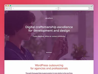 Develora agency development outsourcing php programming wordpress