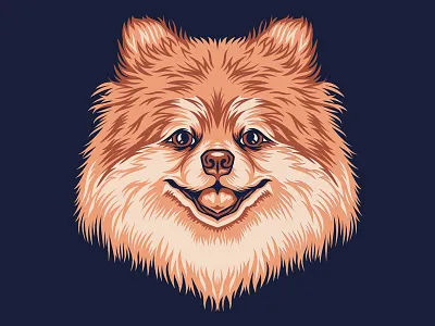 Pomeranian Illustration for Golden Doodle Goods™ animal dog doggy fur graphic illustration pet pomeranian puppy vector