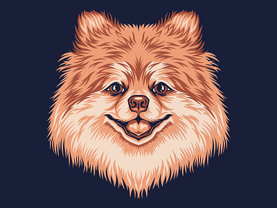 Pomeranian Illustration for Golden Doodle Goods™ animal dog doggy fur graphic illustration pet pomeranian puppy vector