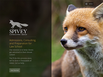 Spivey Consulting