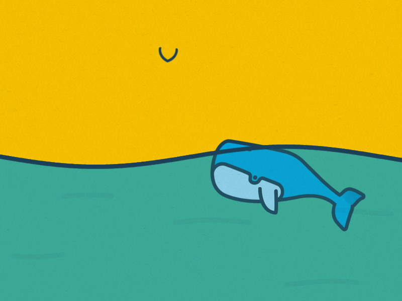 Whale 2d after effects animation flat illustration loop ocean whale